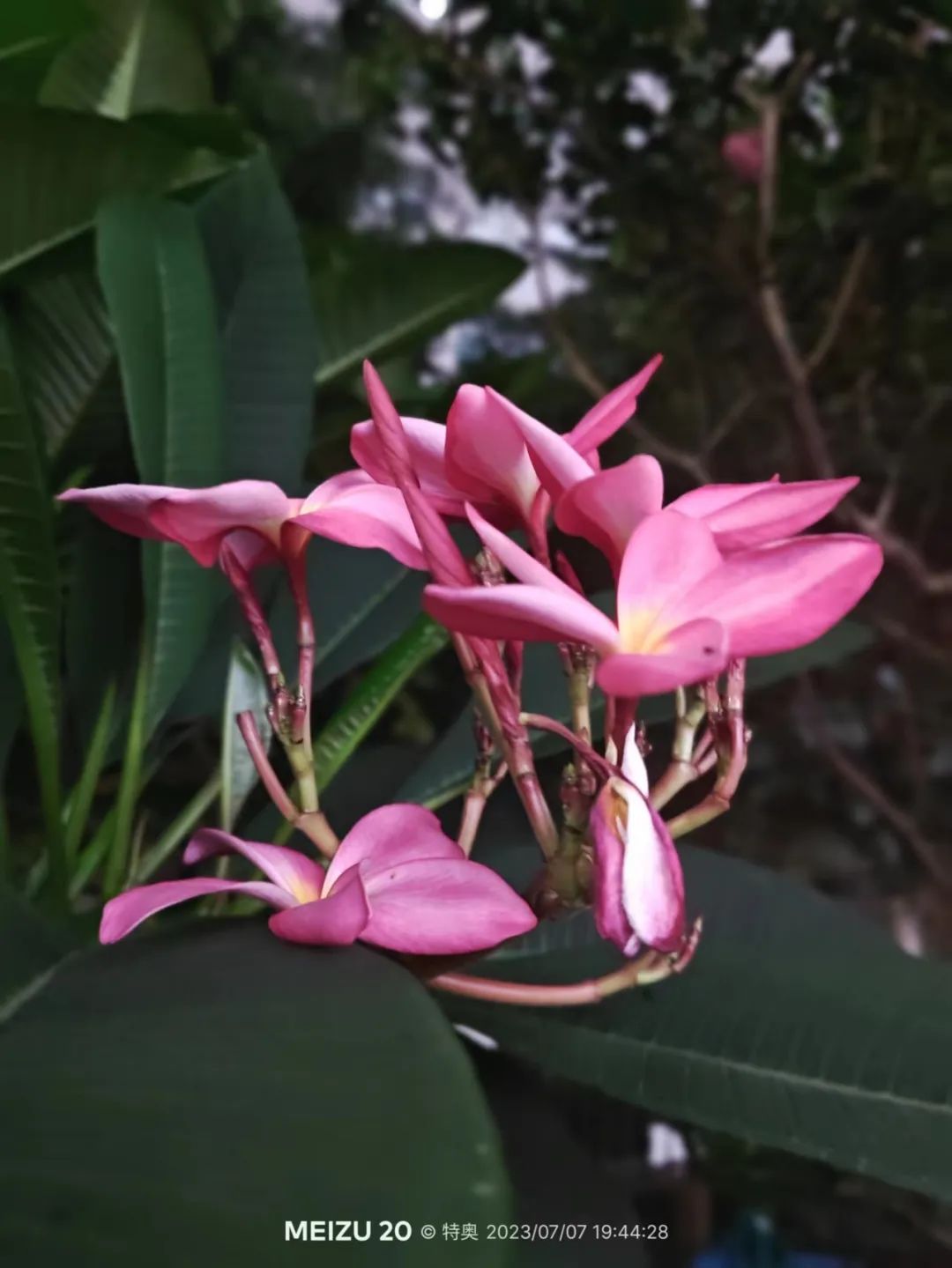 3000块的魅族18,3000以内魅族性价比颜值高