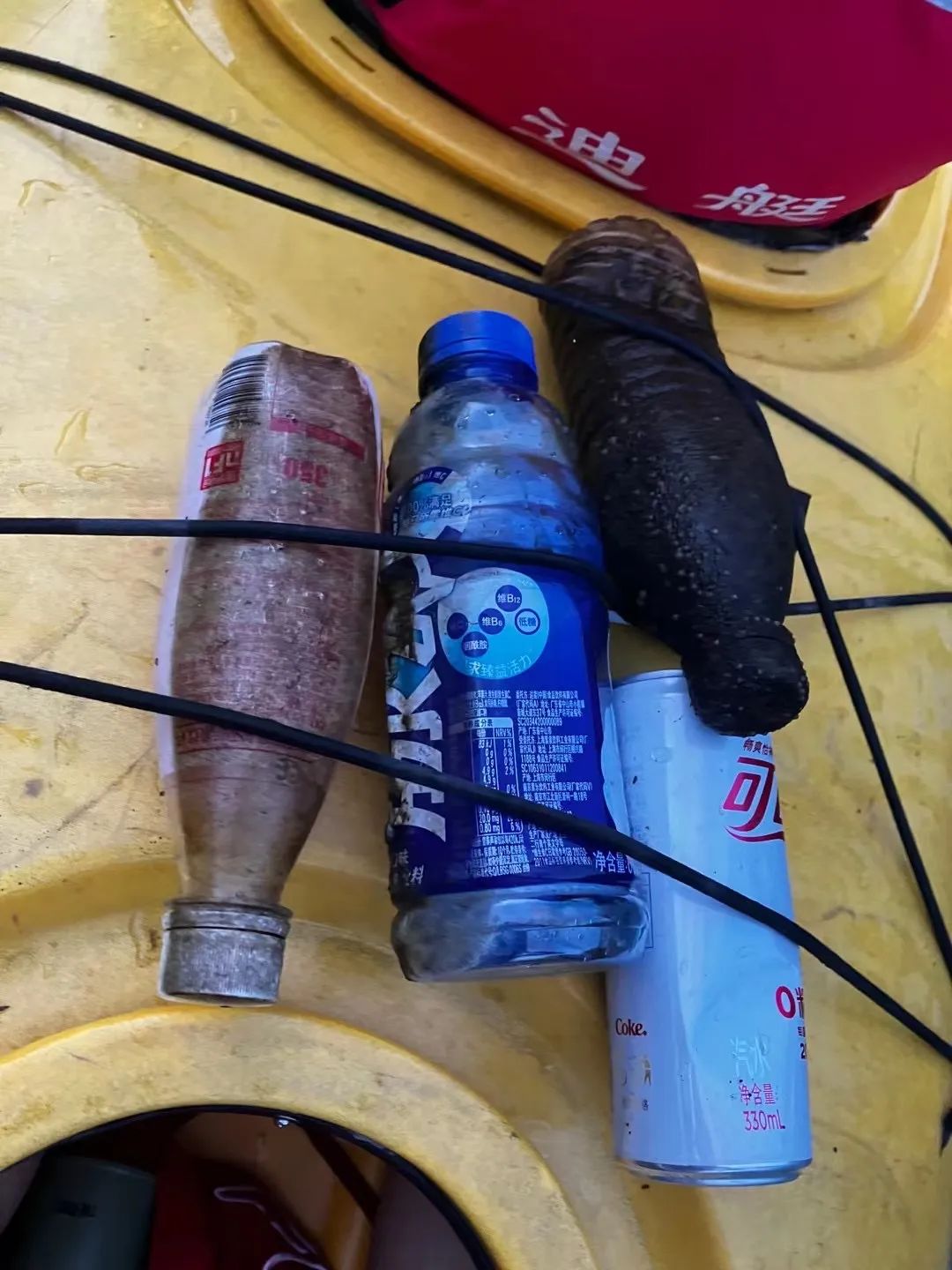 不点外卖，不买新衣，自制洗衣粉，养蚯蚓堆肥......24岁女孩的环保生活太“上头”