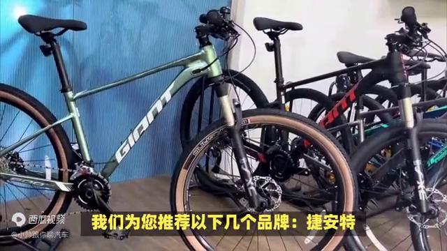 2023年公路自行车哪个牌子好