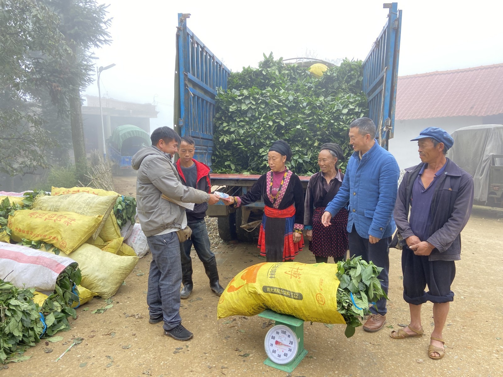 驻村工作队脱贫致富,花溪区一个驻村干部的致富金点子