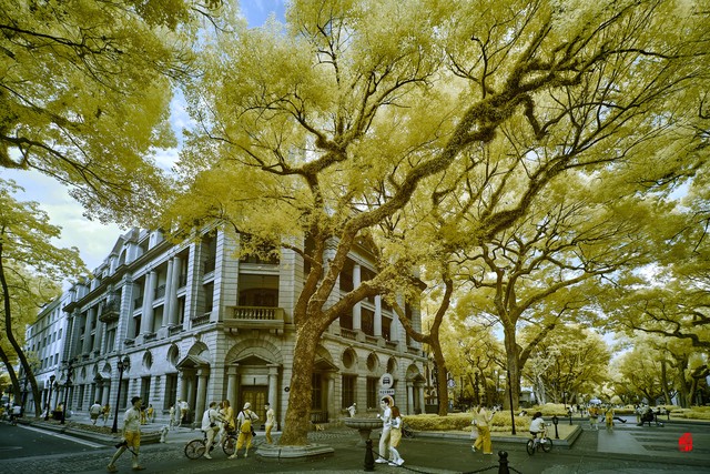 广州打卡景点或网红景点,广州秋天打卡景点或网红景点