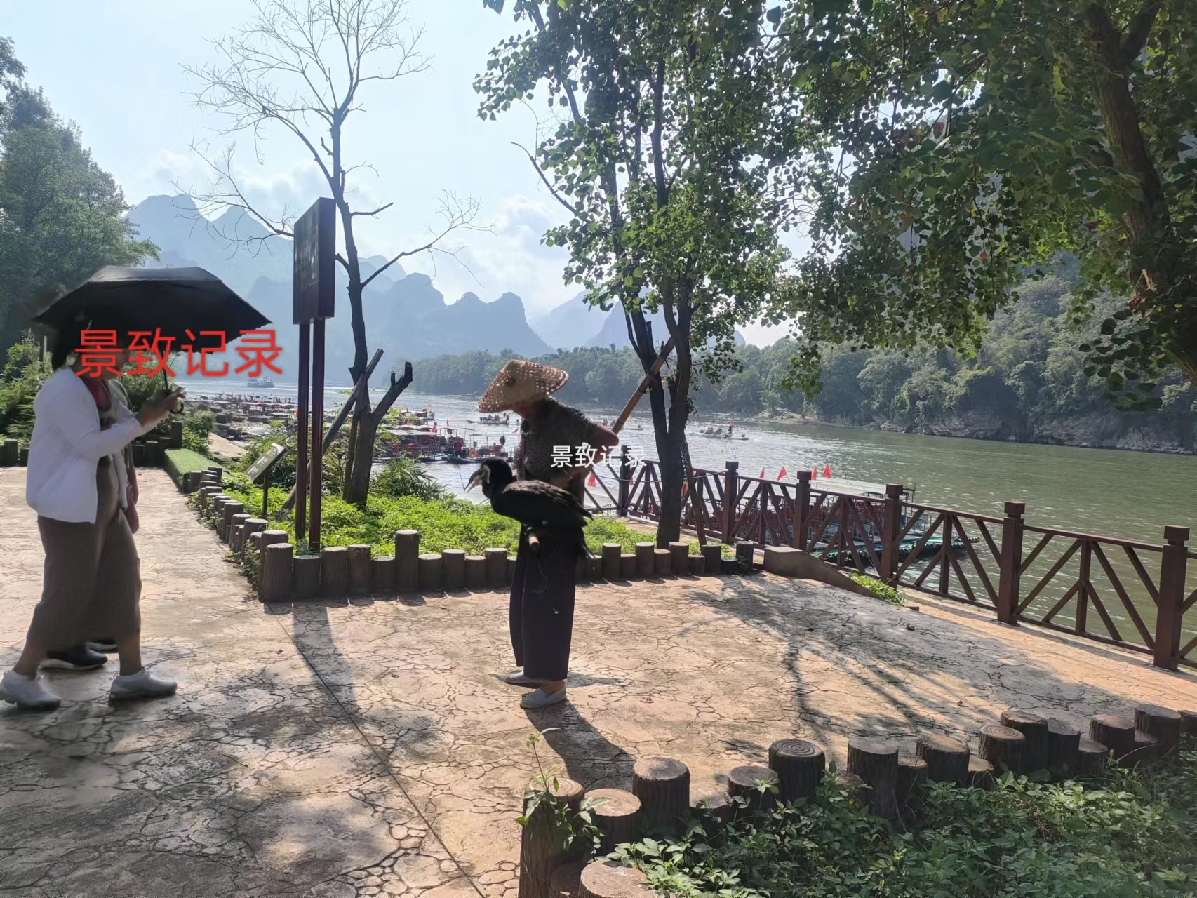 桂林市阳朔县杨堤风光,阳朔漓江风光