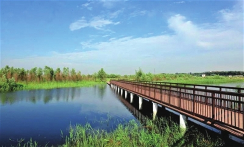 初夏六月来郑州公园邂逅美好