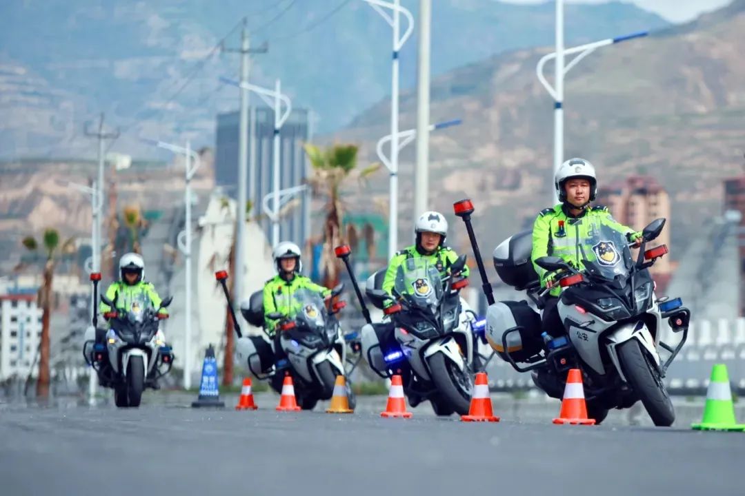 甘肃政法新闻最新消息,陇南市委政法委员会