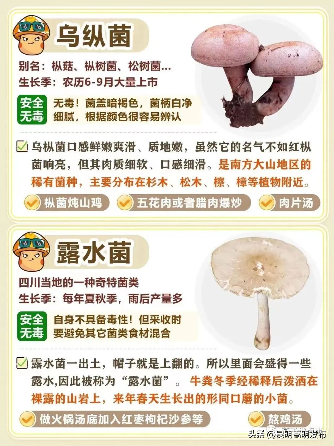 孩子开车撞人去自首,儿子开车撞人最后自首