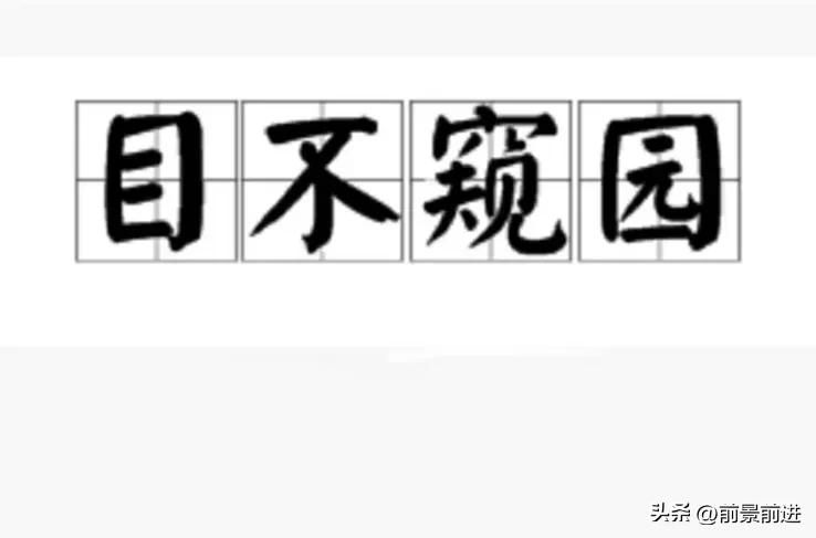 目不窥园成语意思,目不窥园成语