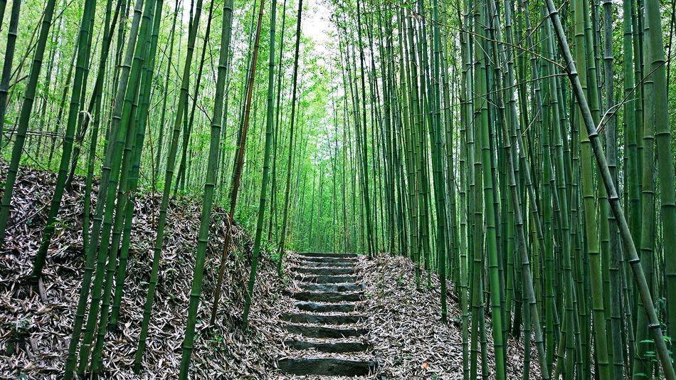 西安炎炎夏日游玩攻略,西安避暑纳凉好去处都市快报