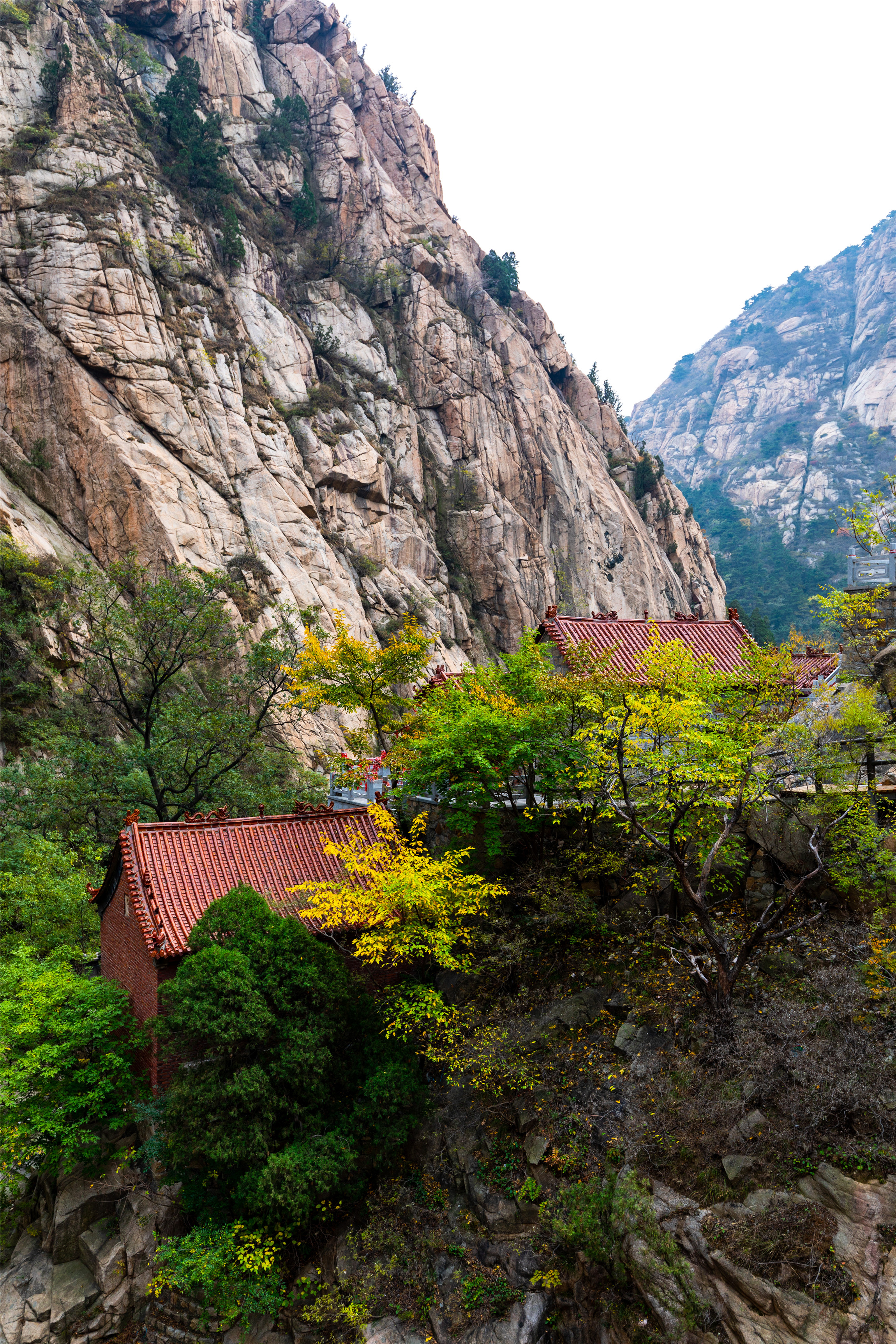 济南夏日森林游玩攻略,藏在济南的夏日度假圣地