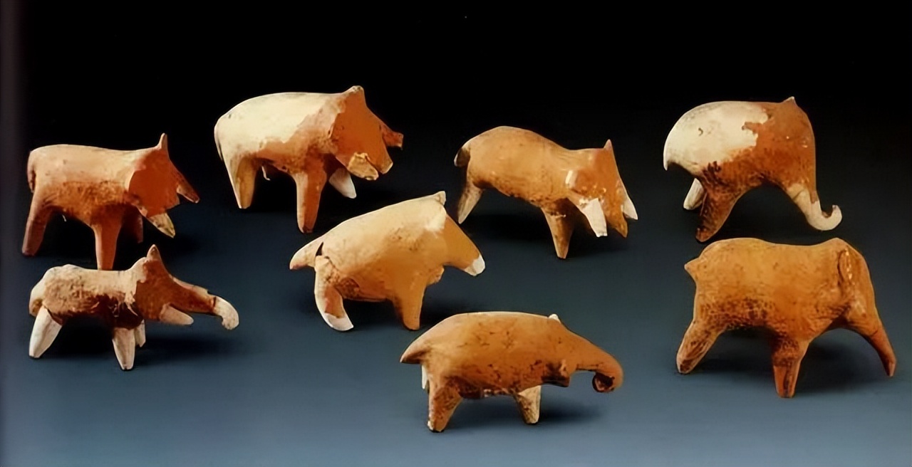 那年那兔那些年的故事,那年那兔那些事儿百年风云