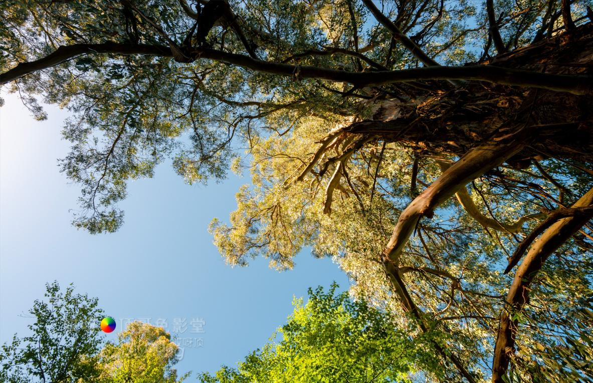 旅行家的眼神，看到不一样的人文澳洲（四之一）
