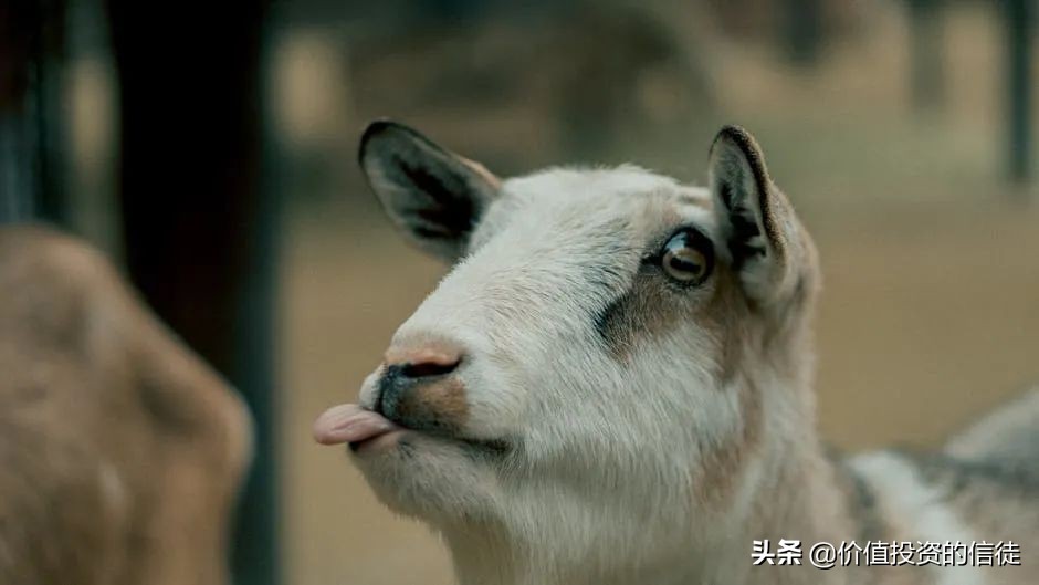 新疆中通客车,中通客车业绩