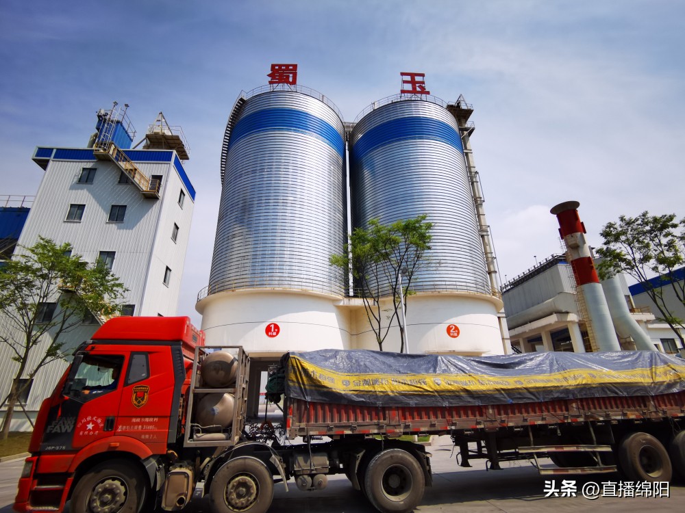 国家级小巨人数量,绵阳小巨人