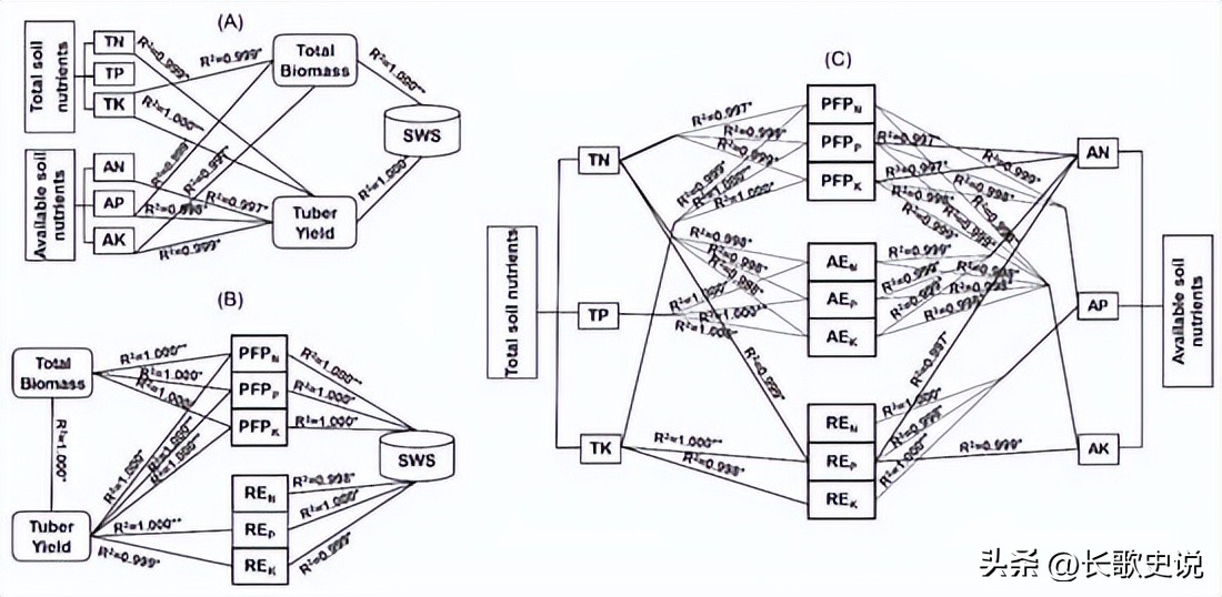 旱作马铃薯栽培技术试验,单垄单行马铃薯高产种植技术