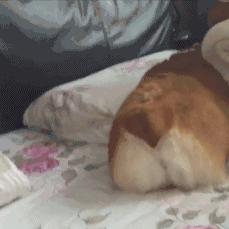 外阴疔疮,外阴疮疖