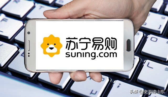 2021年苏宁易购股票价值分析,苏宁易购股票24年会盈利吗