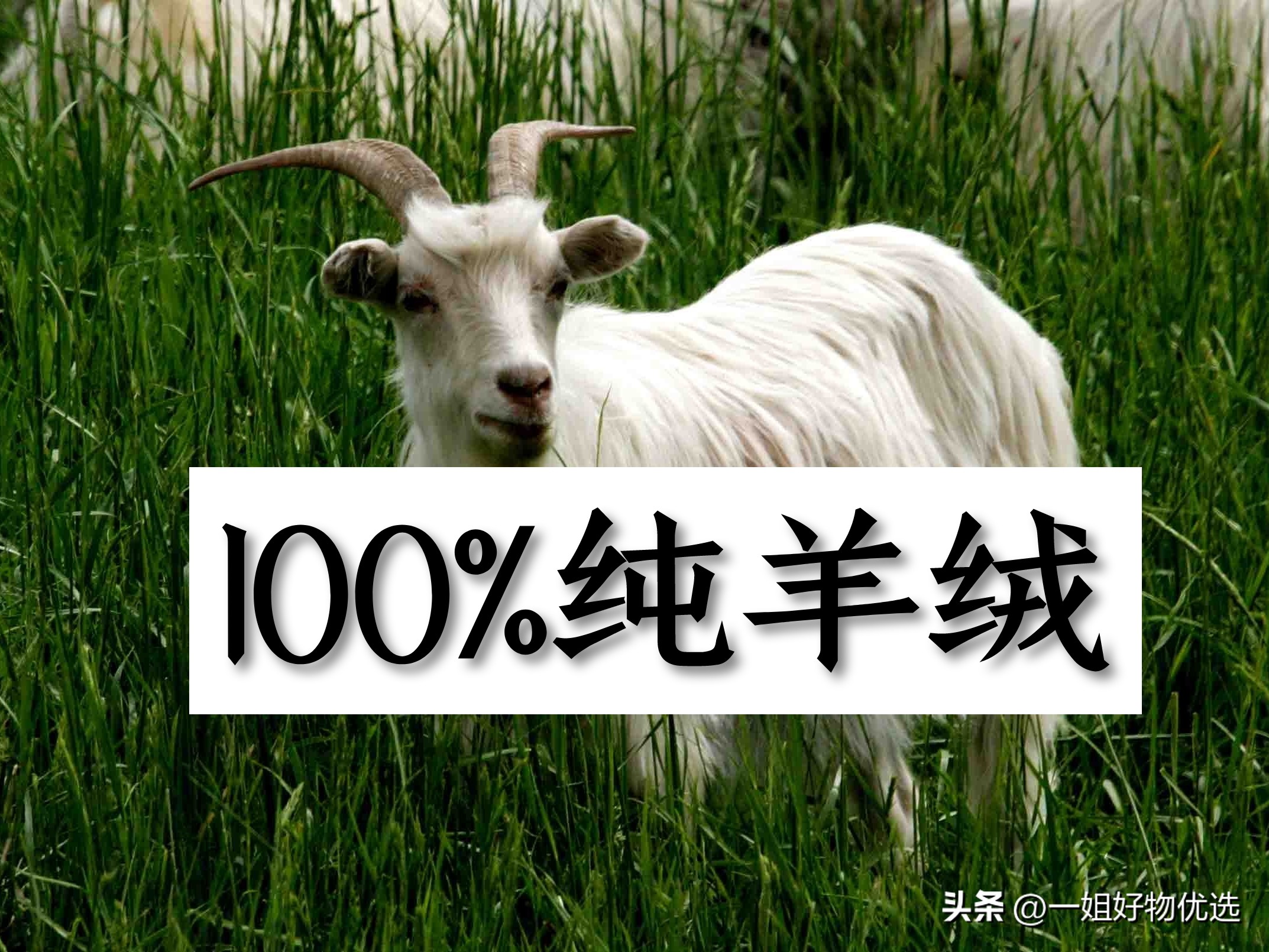 大围巾披肩羊绒,大围巾披肩羊绒纯色