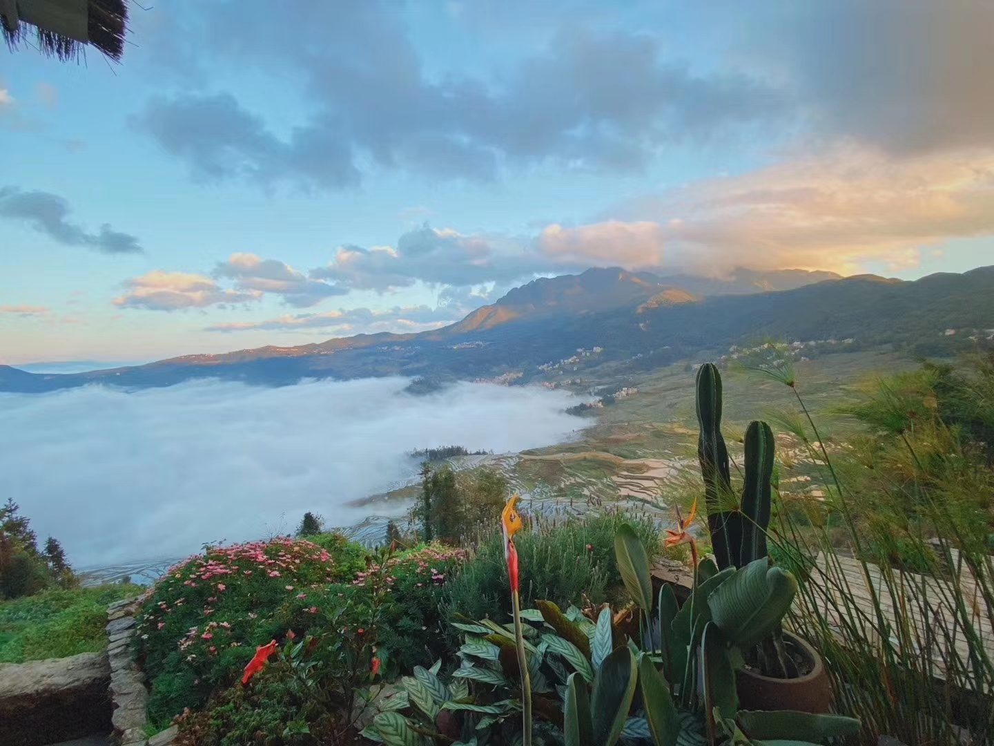 公务员考试易错成语1000例,公务员考试常考易错成语口诀手册