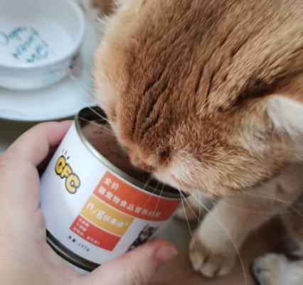 全价猫罐头测评幼猫,猫罐头测评红黑榜幼猫