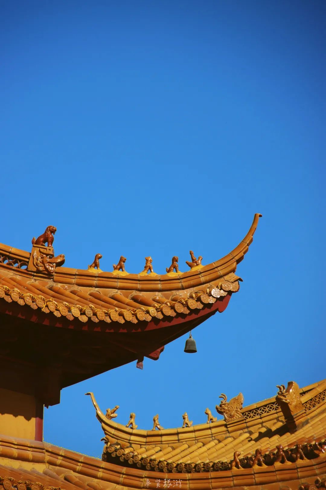 二严寺万佛阁银杏黄啦~古刹银杏，来领取奉贤最禅意的浪漫