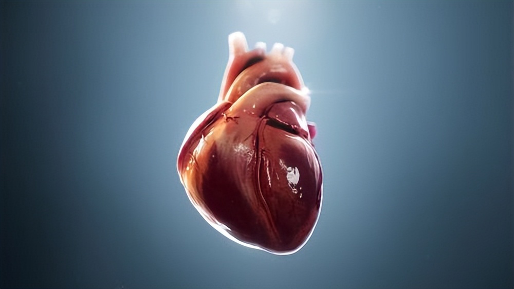 一饿胃就不舒服心慌手抖吃什么药,饿的时候心慌手抖全身无力喝糖水