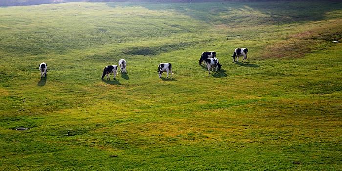 世界上最孤独的国家有多孤独？节假日商铺全关，却令无数人向往