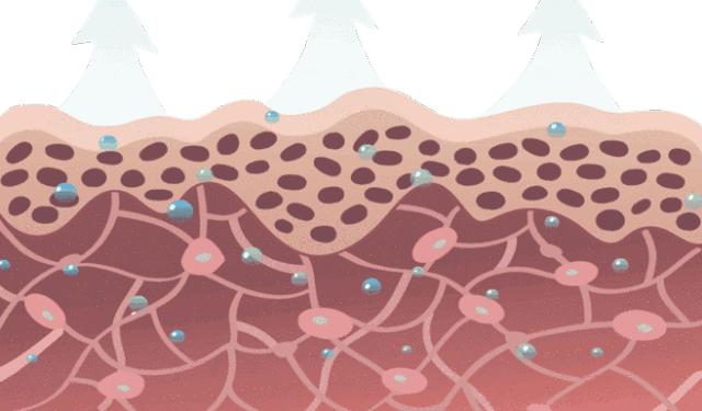 lamer海蓝之谜新生活肤精华油30ml,海蓝之谜焕活精华油适合油痘肌吗