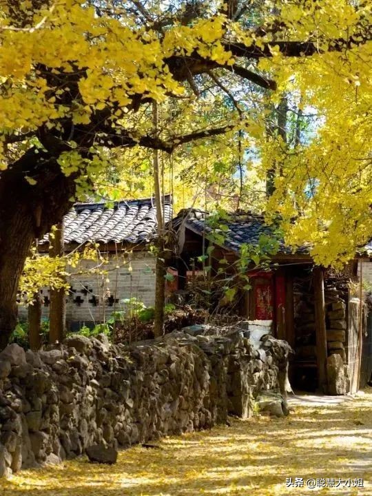 云南，80%年轻人最爱的度假圣地