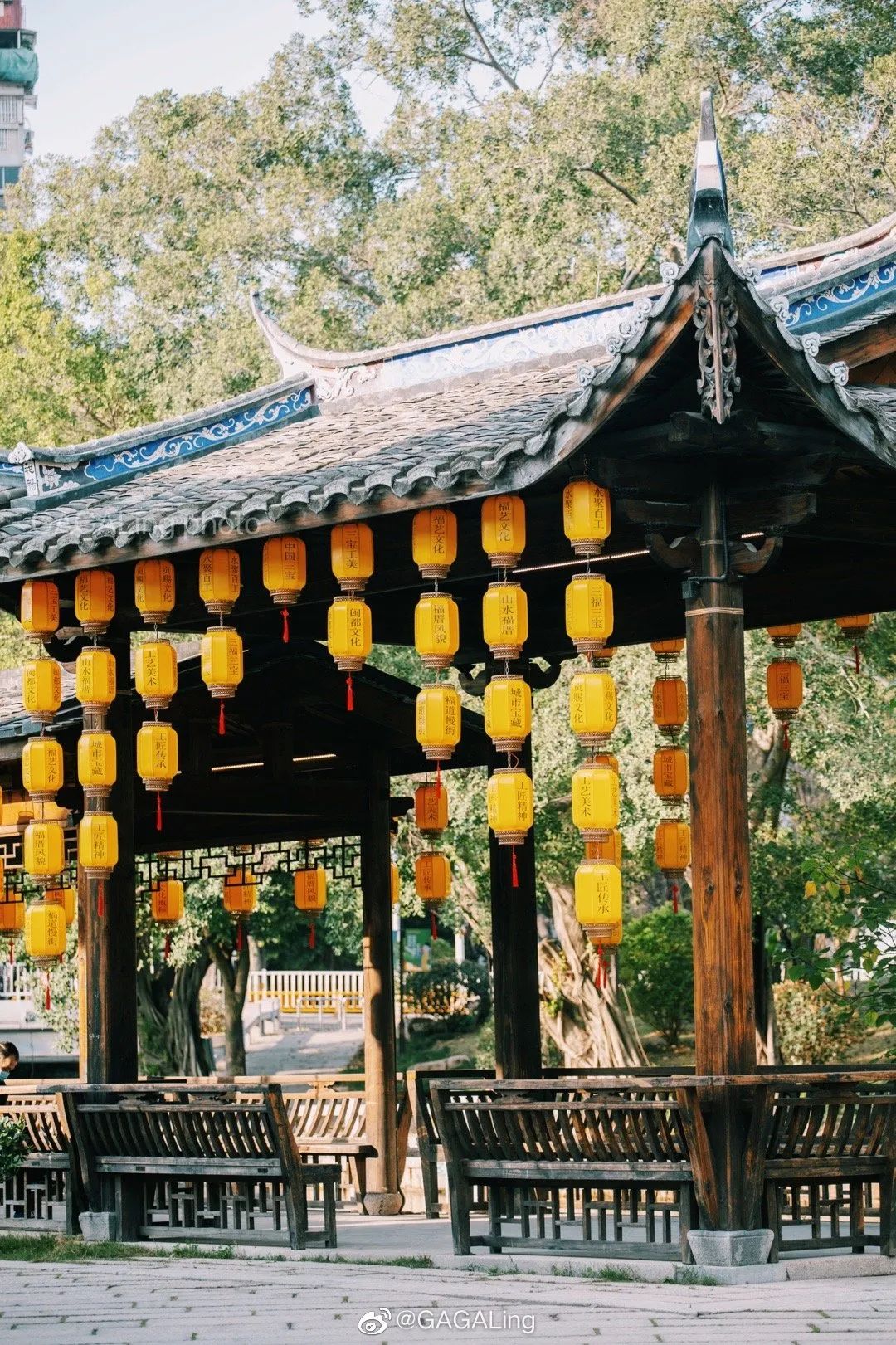 大v说福州,大v说大庆