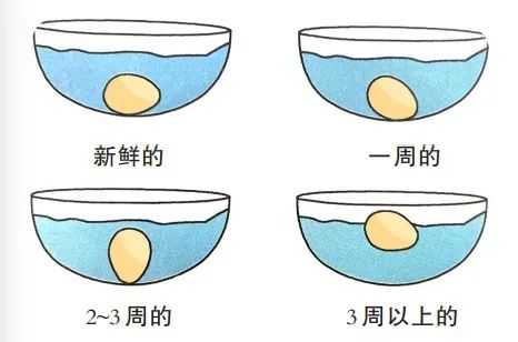 鸡蛋分级标准对照表,鸡蛋标准等级