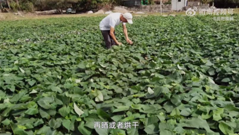 每天三分钟新闻早知道,三分钟新闻早知道政治