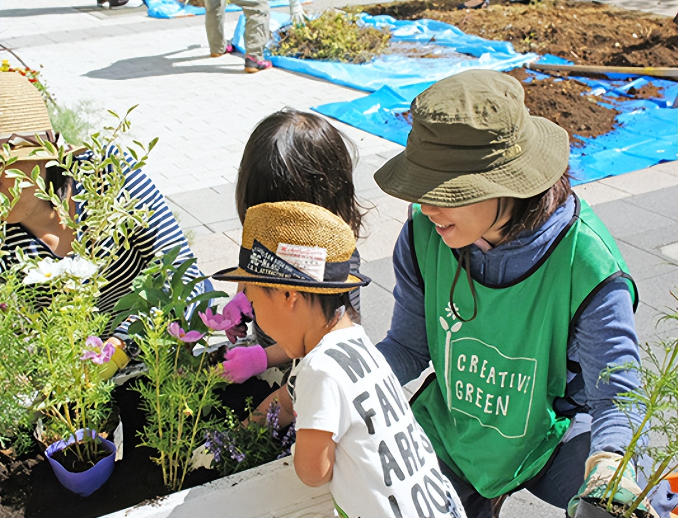 绿化养护多久一次最好,日本人绿化养护