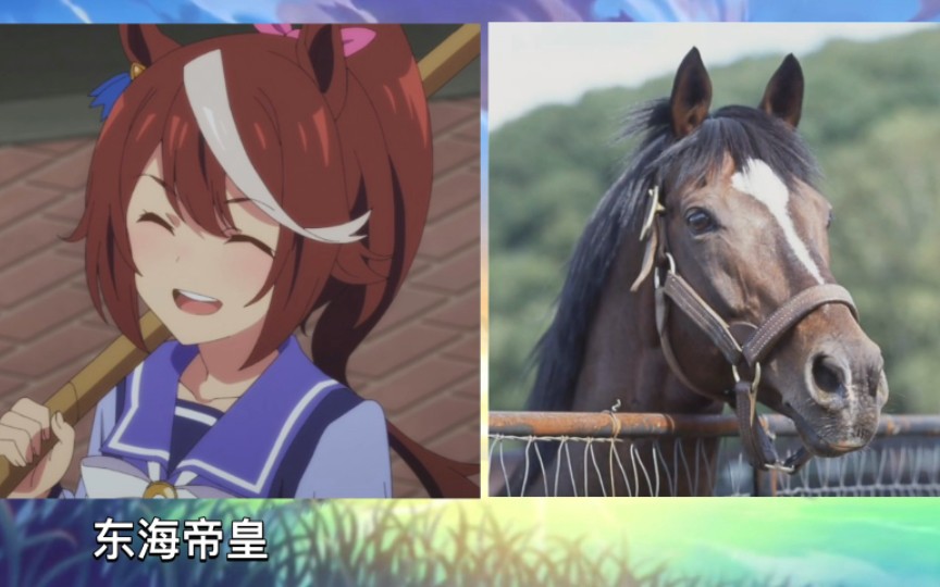 日本人对赛马娘手游的看法,日本人气最高的赛马娘