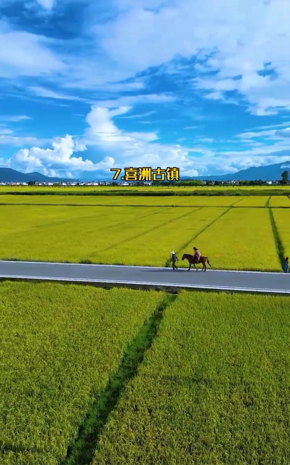 三月份云南有什么好玩的地方,云南冬季好玩的地方推荐