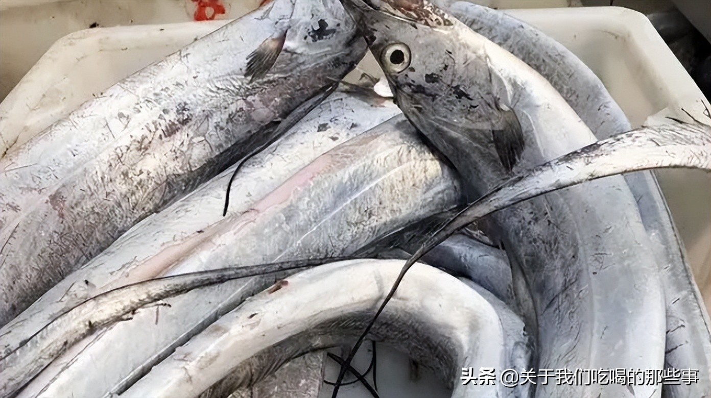 买鱼时这三种鱼不要买,买鱼要买什么品种