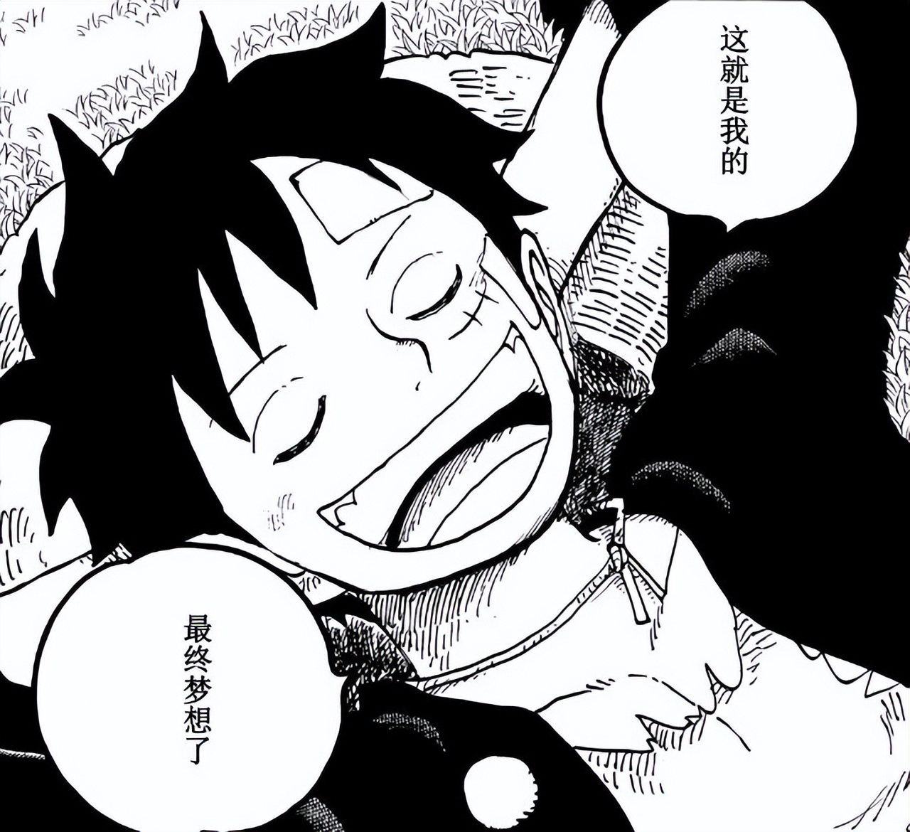 看了海贼王才懂的故事,看了几十年海贼王感慨