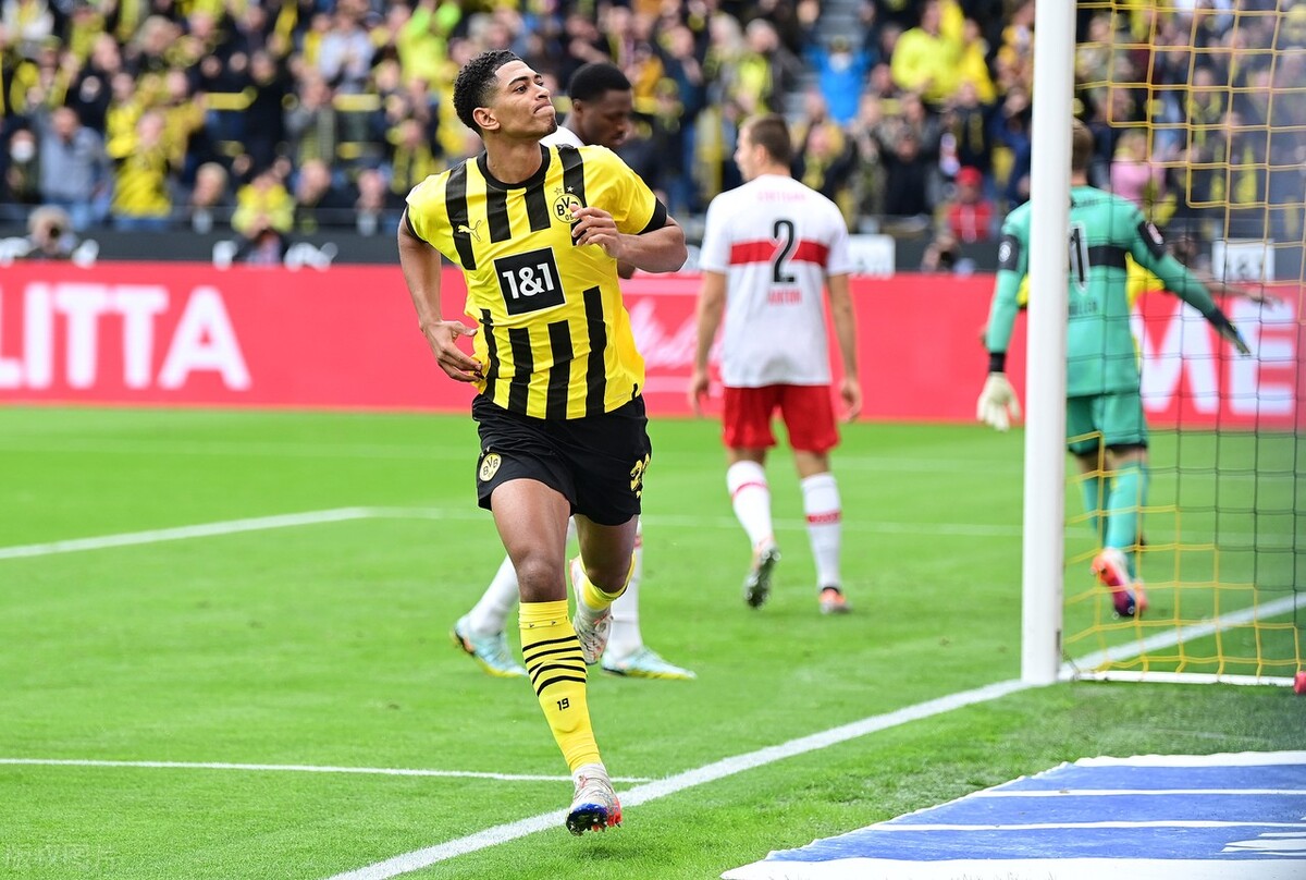 世界杯最值得期待的5位新星,维尼修斯捍卫荣耀、阿方索创造历史