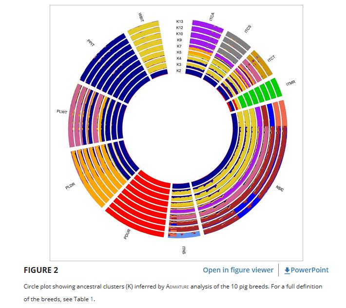 西西里尼罗猪的全基因组群体在意大利和世界性品种的框架