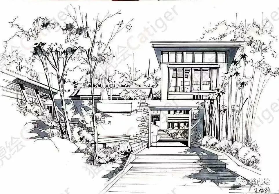 猫虎画,猫虎绘画