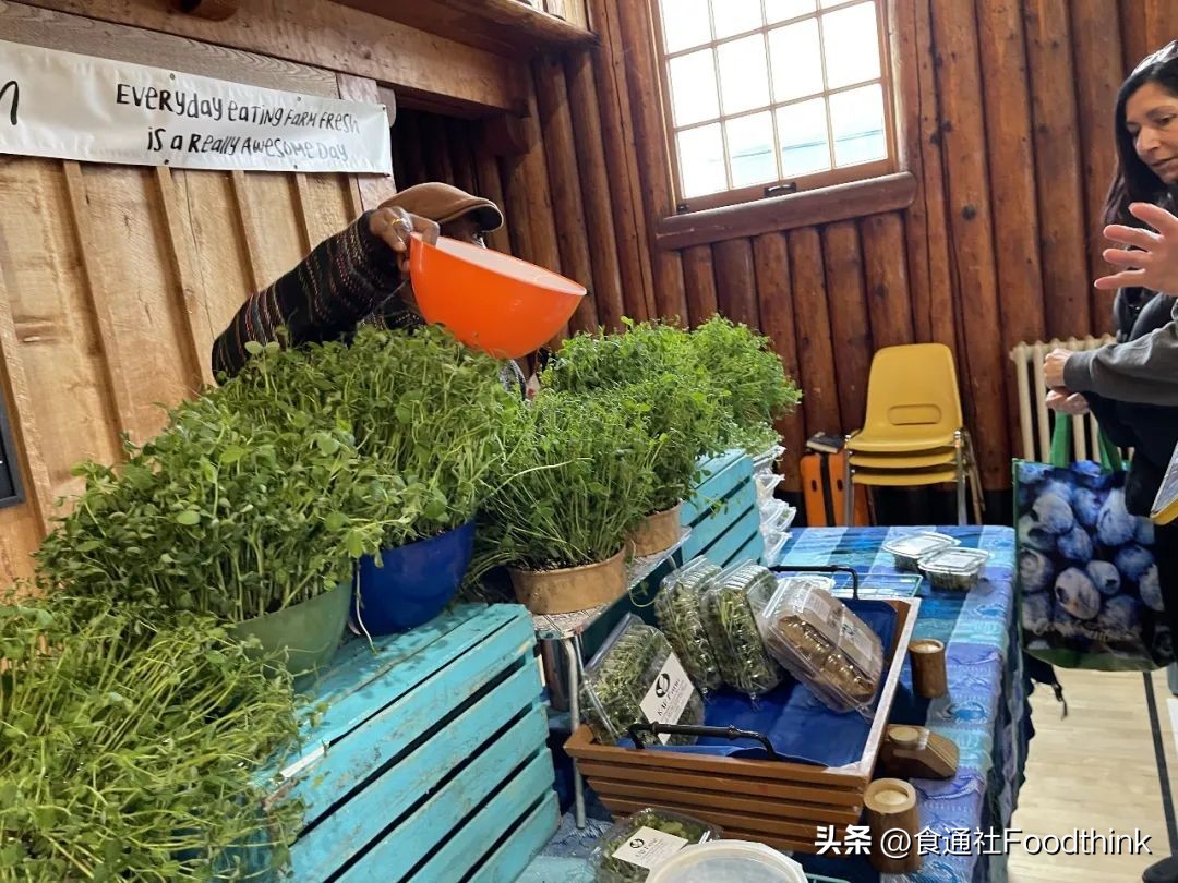 在美亚两大洲探店半年，我看到了健康饮食的新趋势｜分享会报名