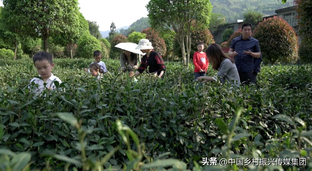 乡村振兴扶持项目在哪里申报,2023年乡村振兴项目补贴申报指南