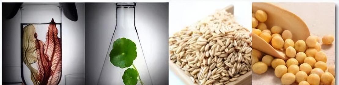 泰国美白针真实事件,女子连续打6年美白针