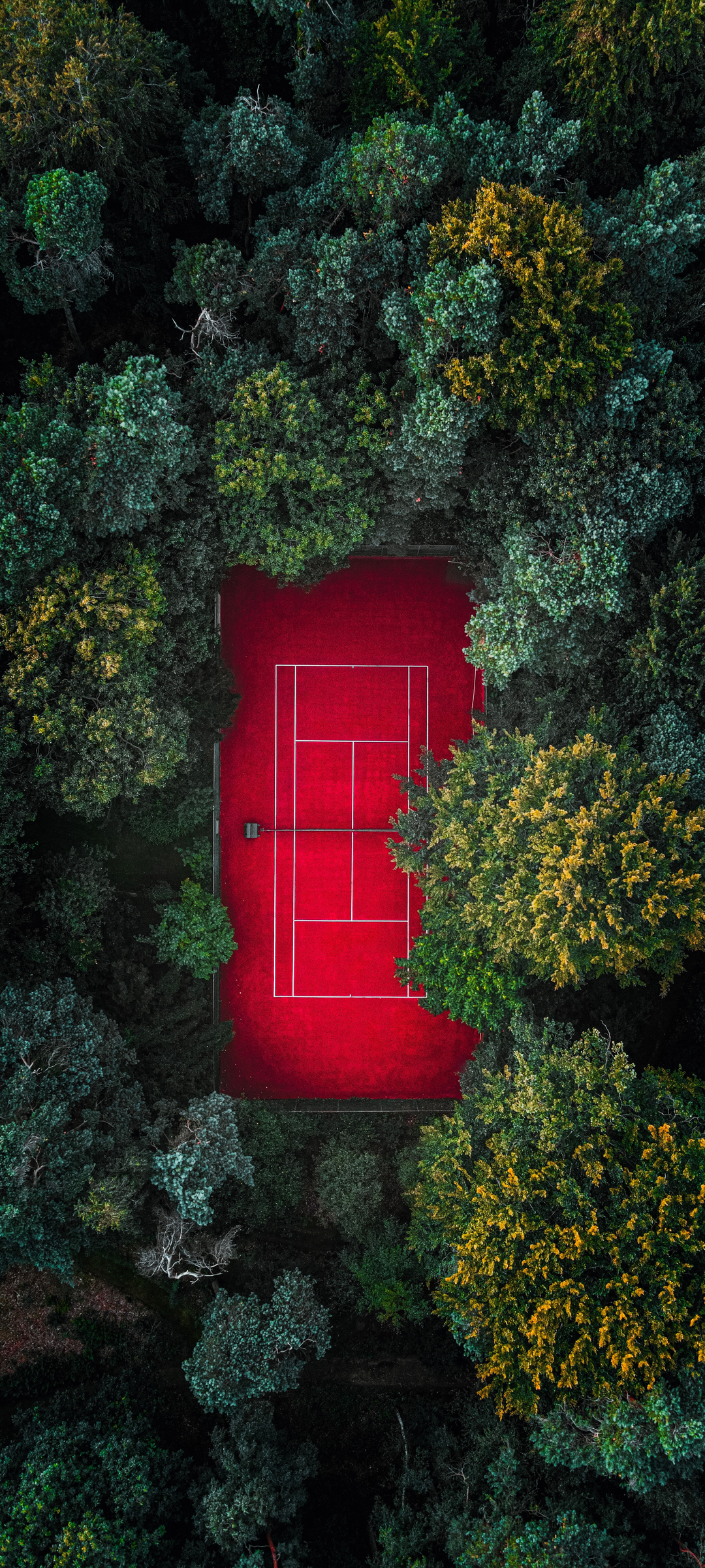 2022好看的手机风景壁纸,2022年男鸿运当头手机壁纸