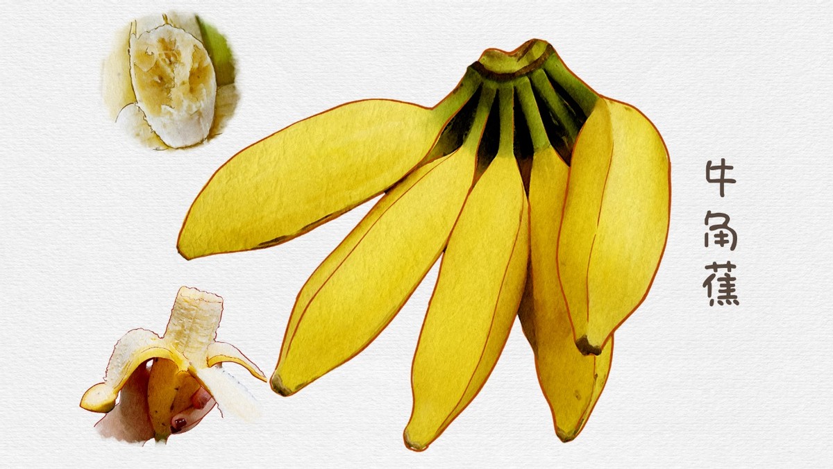 香蕉哪种品种最好吃,怎么挑选香蕉什么样的香蕉好吃