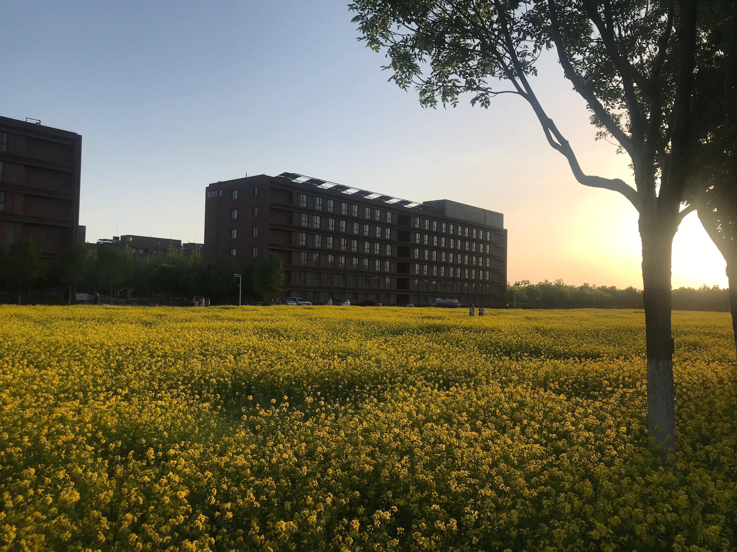 在研究所工作是一种什么样的体验,在研究所的生活