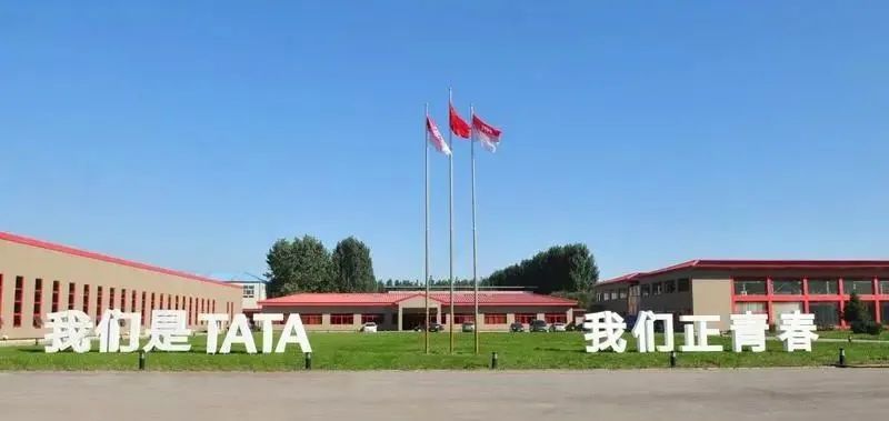 喜报破千万,喜报单日销售业绩突破两万