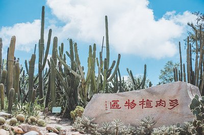 厦门最划算攻略 (去厦门五天最强攻略)