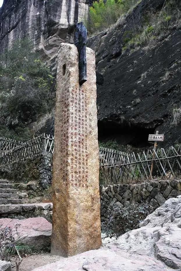中国六大茶中最贵的茶,中国十大最贵的茶排名