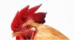 这些奇葩的设计,那些奇葩包装