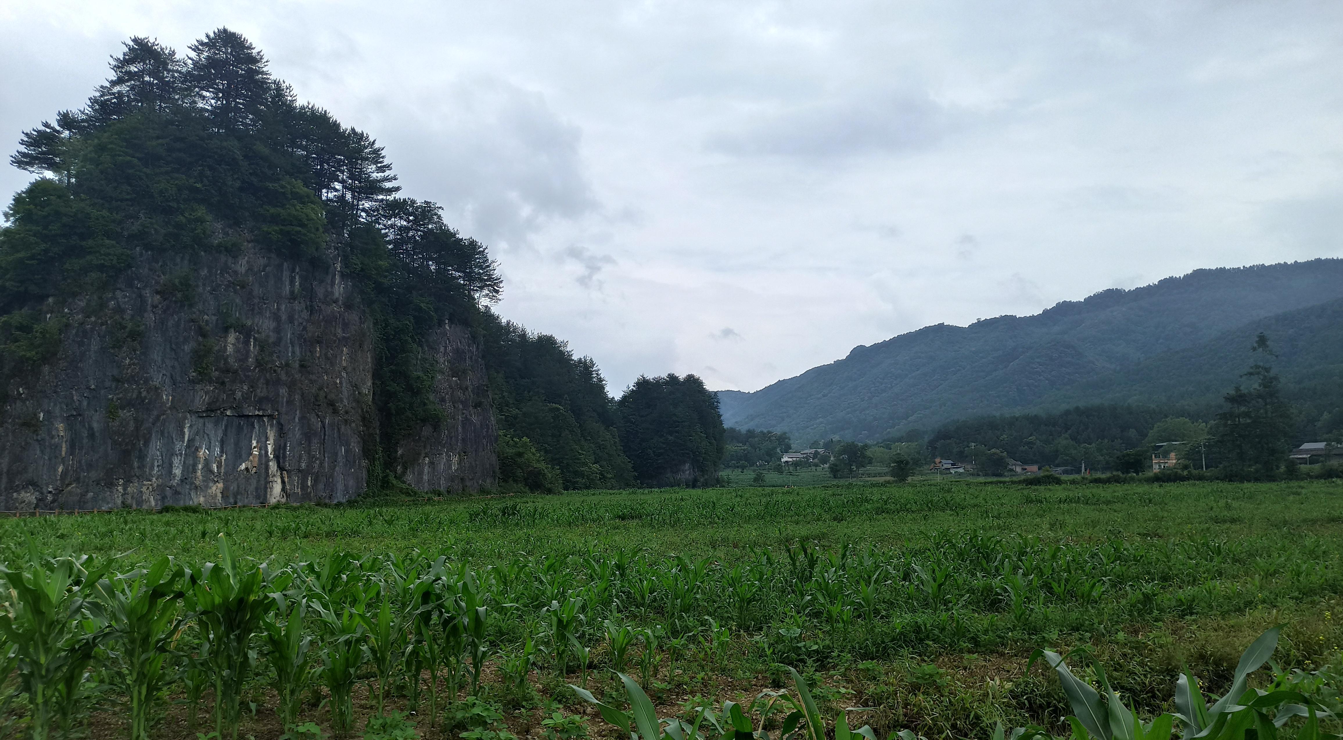 红叶如醉，光雾山等你来