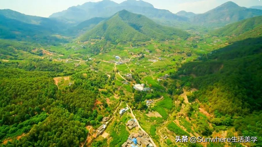 新鲜桑葚什么饮品好喝,桑葚新饮品好喝吗